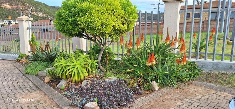 3 Bedroom Property for Sale in Island View Western Cape